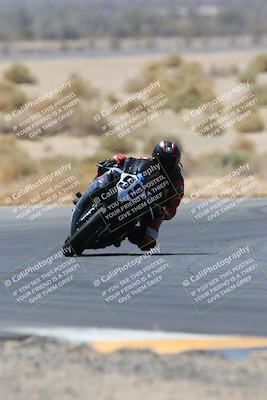 media/May-14-2023-SoCal Trackdays (Sun) [[024eb53b40]]/Turn 5 Tree of Life (1125am)/